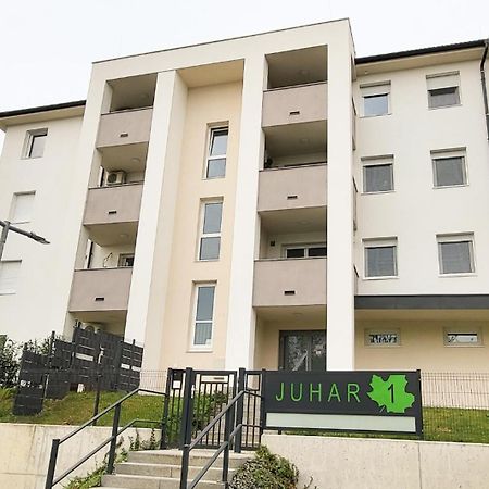 Juhar 1 Apartman Kőszeg Exteriör bild